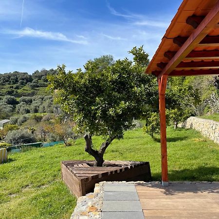 הוילה אימפריה La Casa Dell'Ulivo מראה חיצוני תמונה