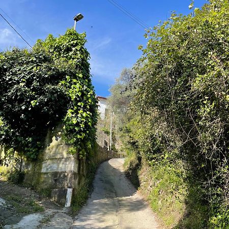 הוילה אימפריה La Casa Dell'Ulivo מראה חיצוני תמונה